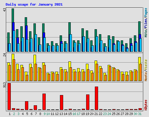 Daily usage for January 2021