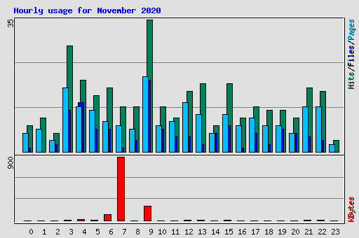 Hourly usage for November 2020